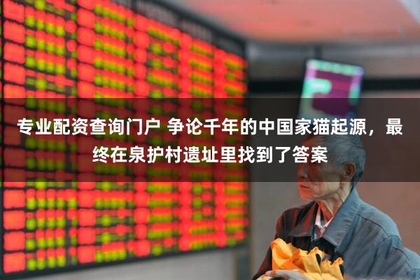 专业配资查询门户 争论千年的中国家猫起源，最终在泉护村遗址里找到了答案